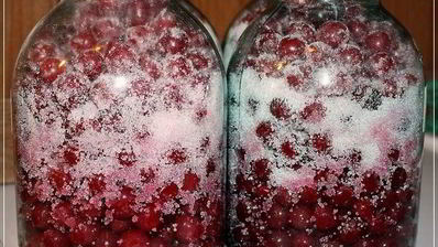 вишневая наливка