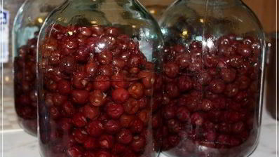 вишневая наливка