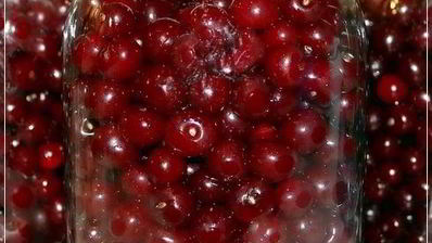 вишневая наливка