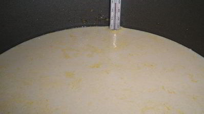 ряженка домашняя варенец