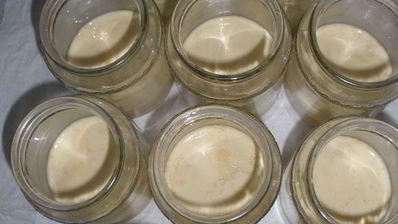 ряженка домашняя варенец