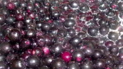 сироп из черноплодной рябины