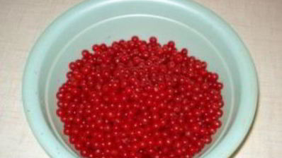 сироп калины