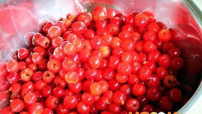 вино из войлочной вишни