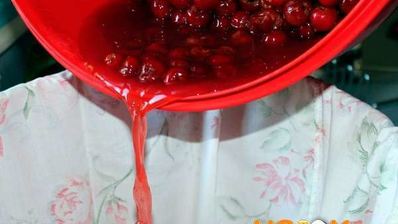 вино из войлочной вишни