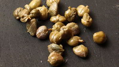 шведский картофельный салат