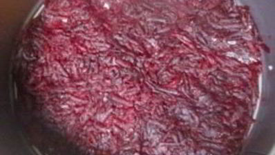 салат сельдь под шубой