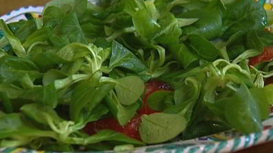 салат с грейпфрутом и молодой свеклой