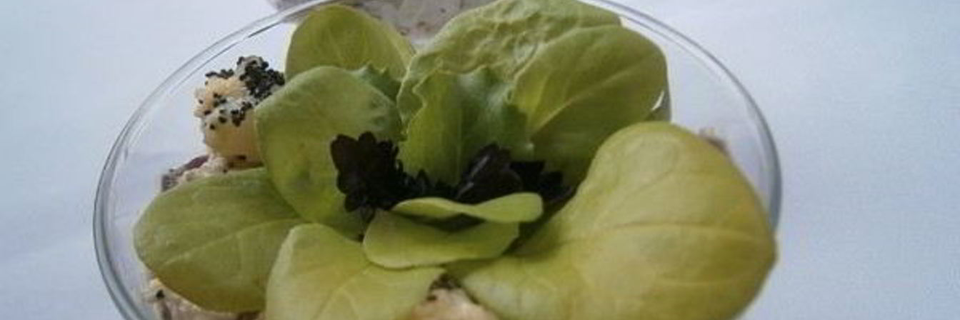 Салат с курицей, ананасом и маковой заправкой