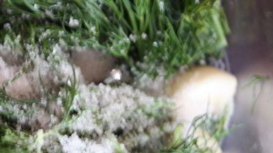 постный борщ с фасолью