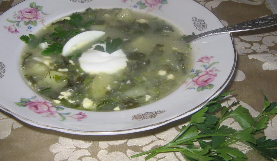 Рецепт щей из щавеля