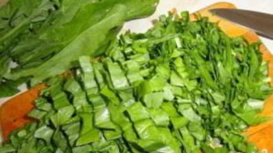 щи со щавелем