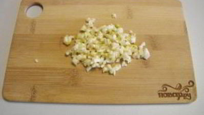 щи суточные из квашеной капусты