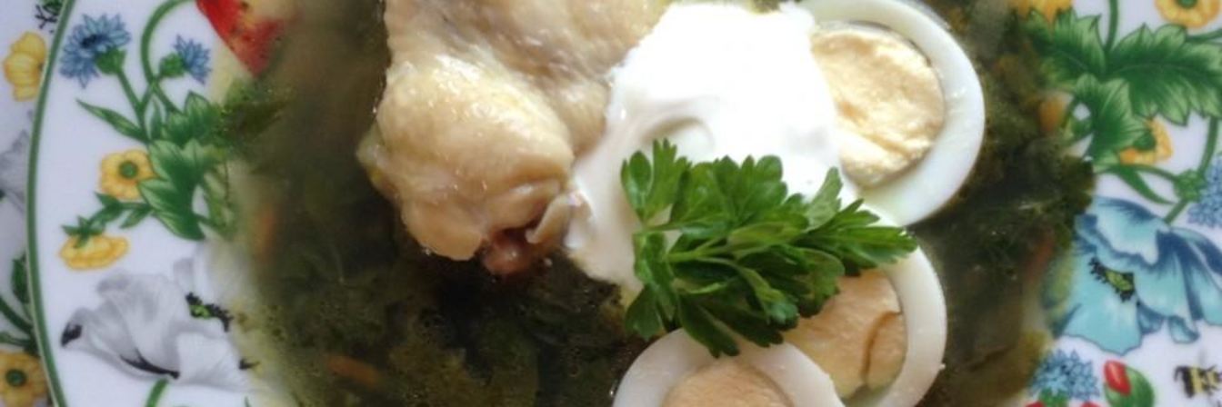 Щи зеленые с крапивой на курином бульоне