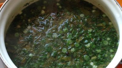 щи зеленые с крапивой на курином бульоне
