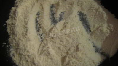 грибной суп-пюре на молоке из свежих грибов