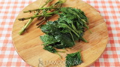 суп-пюре из черешкового сельдерея с крапивой