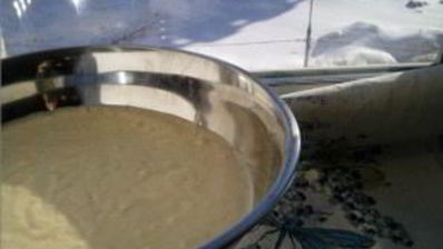 блины на сухих дрожжах