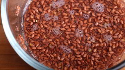 цельнозерновые булочки с семенами льна на закваске