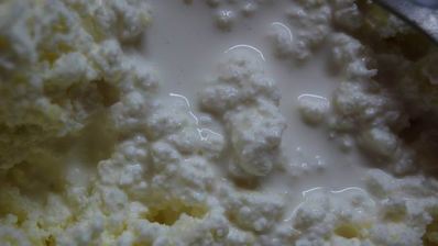 пряный чизкейк