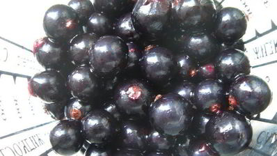 смородиновый чизкейк на хрустящей основе