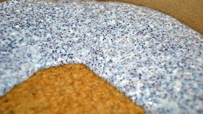 яблочно-маковый чизкейк