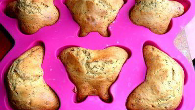 маково-цитрусовые кексы бабочки прилетели