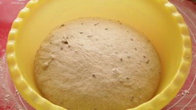 цельнозерновой хлеб