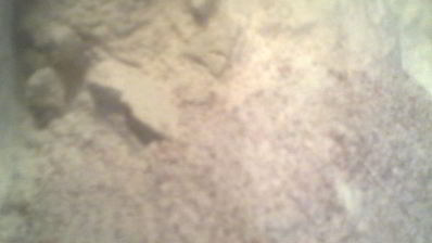 тыквенный хлеб