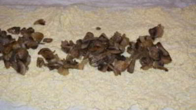 лаваш с шампиньонами