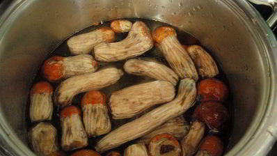 открытые слойки с подосиновиками