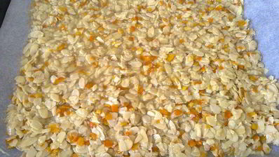 флорентины — печенье из миндальных лепестков