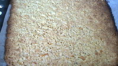 флорентины — печенье из миндальных лепестков