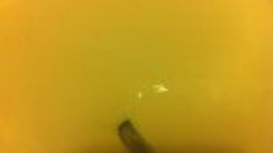 киш с индейкой, шпинатом и рикоттой