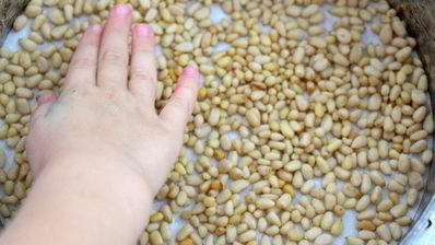 пирог с кедровыми орешками пинолата