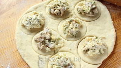 быстрые пирожки с курицей и брынзой