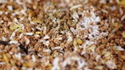 пирожки с мясом и рисом