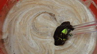 брауни с апельсином