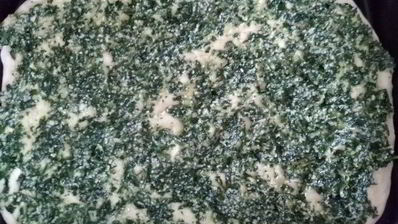 пицца с зеленым соусом, курицей и моцареллой