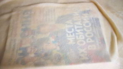 вишневый штрудель