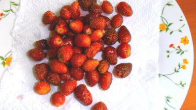 сырники с клубникой