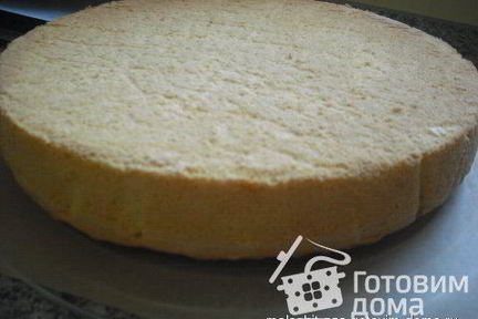 Бисквитное тесто