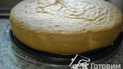 бисквитное тесто