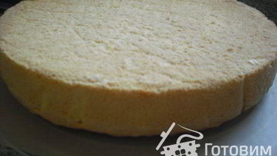 бисквитное тесто