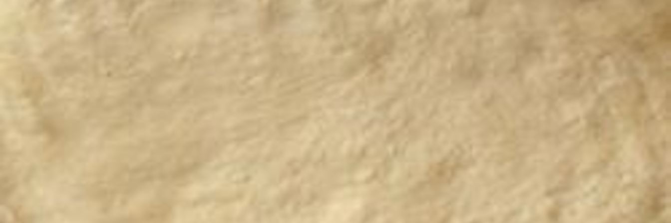 Быстрое дрожжевое тесто для пиццы