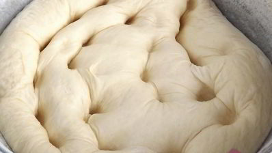 тесто дрожжевое для пирогов