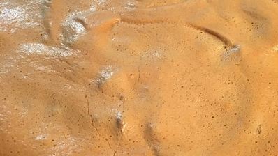 бисквитный торт с меренгой и арахисом