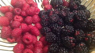 шоколадный торт с ежевикой и малиной