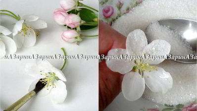 торт дивный сад