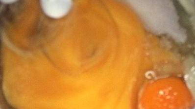 вафли хрустящие из разных хлопьев